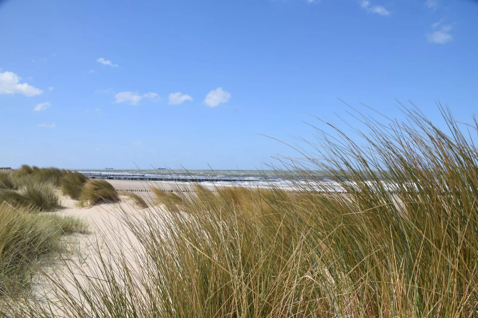 De Zeeschelp-Gebied winter 5km