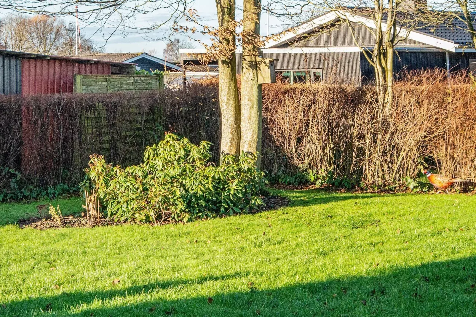 6 persoons vakantie huis in Haderslev-By Traum-Uitzicht