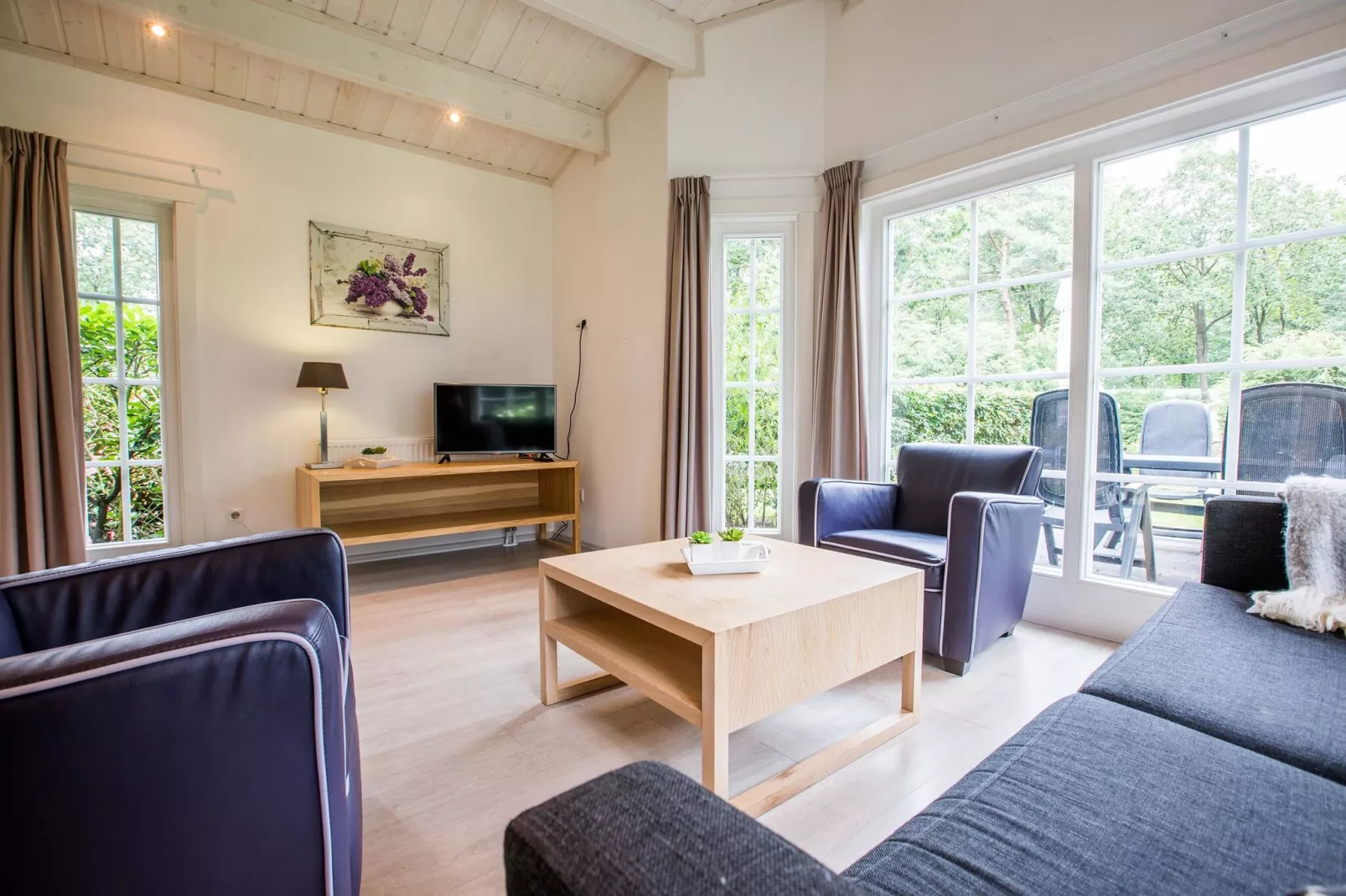 Landgoed De Scheleberg 37-Woonkamer