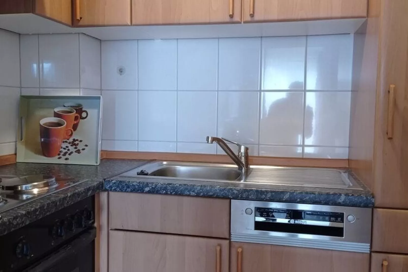 FeWo EG E-37-Keuken