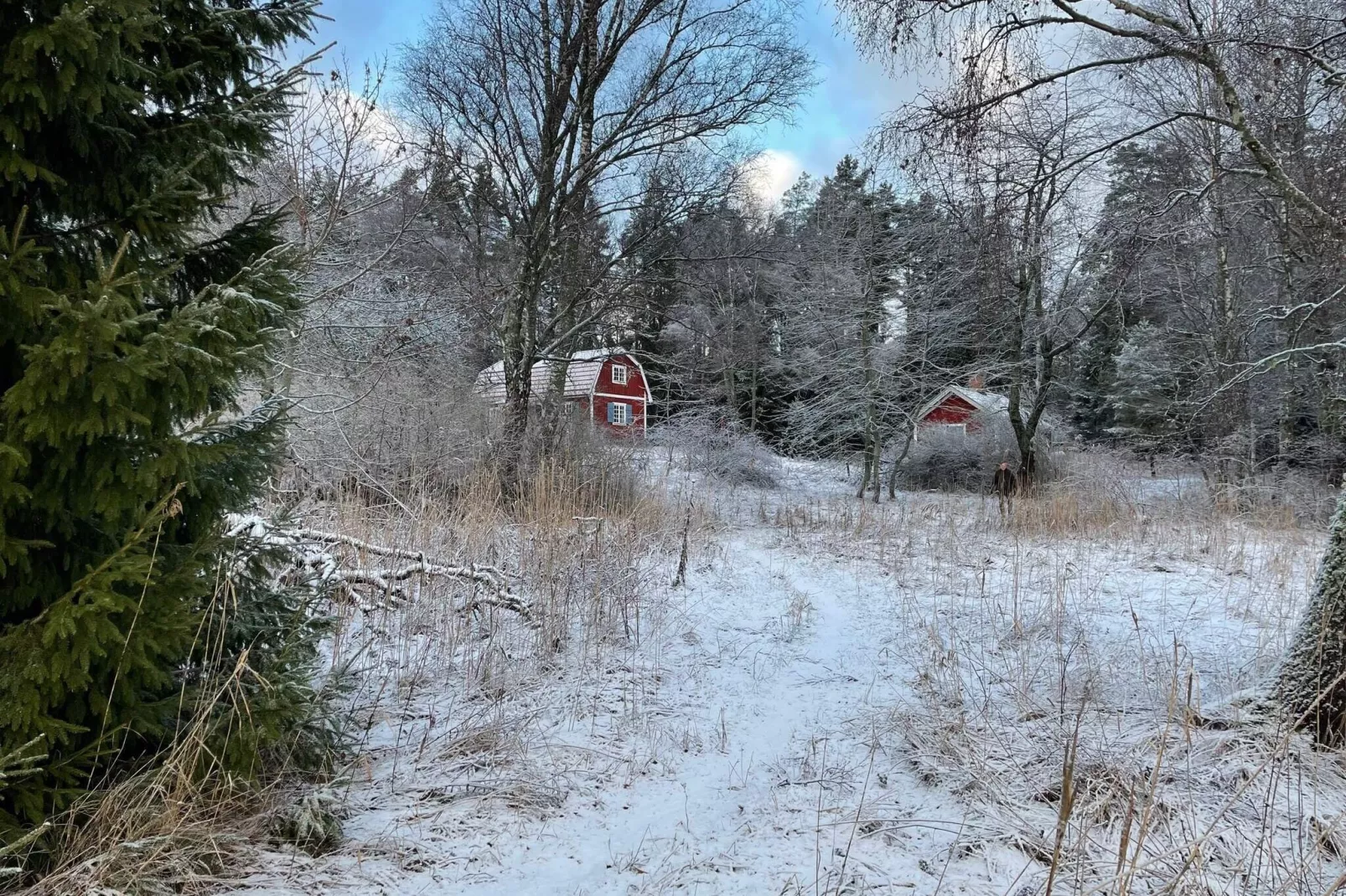 6 persoons vakantie huis in JÄRNA-By Traum