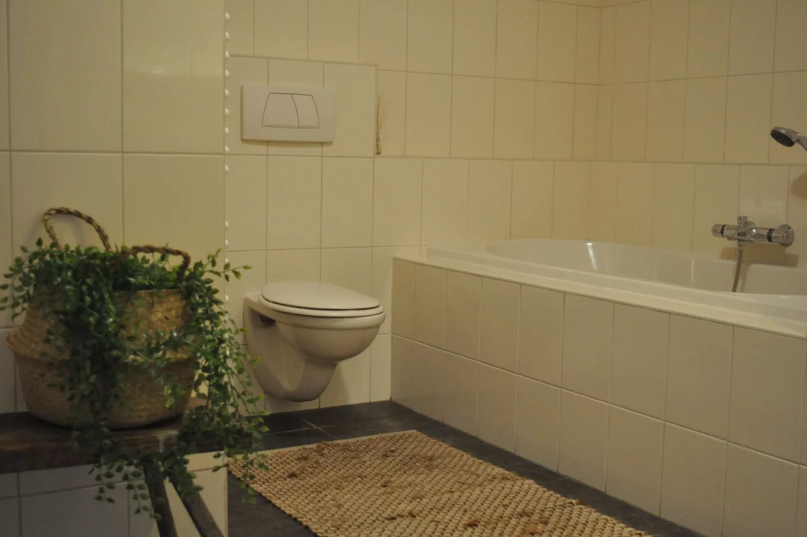 Dorpswoning De Volbloed-Badkamer