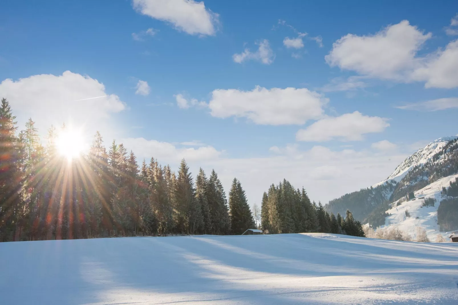 Residenz Edelalm - Top 1-Gebied winter 5km