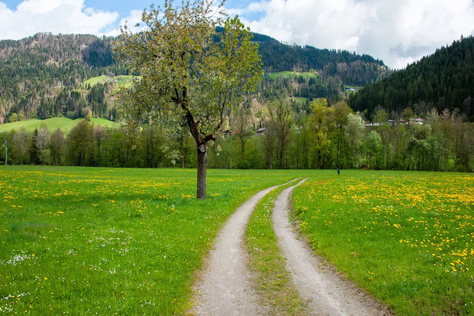 Residenz Edelalm - Top 1-Gebieden zomer 1km