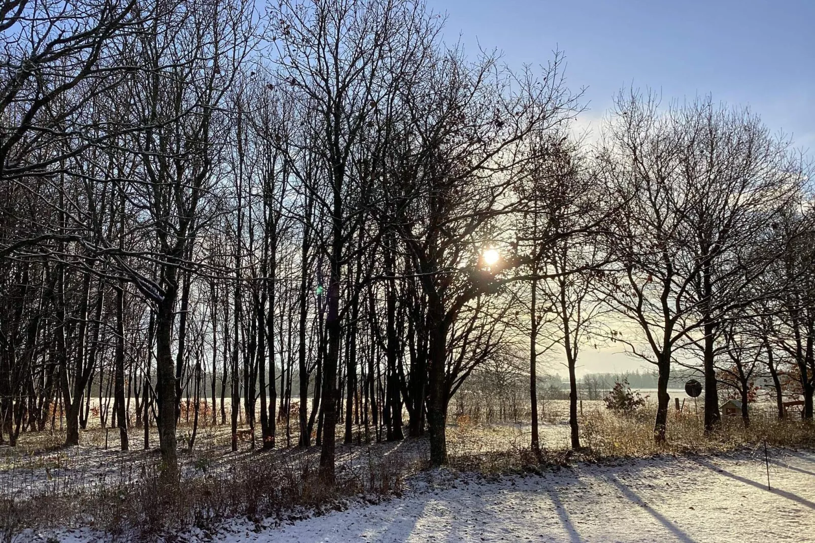 6 persoons vakantie huis in Hovborg-By Traum-Uitzicht