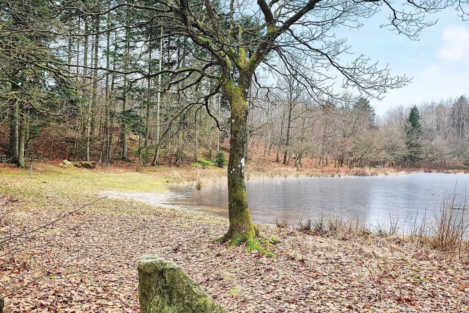 4 persoons vakantie huis in Aars-By Traum-Buitenlucht