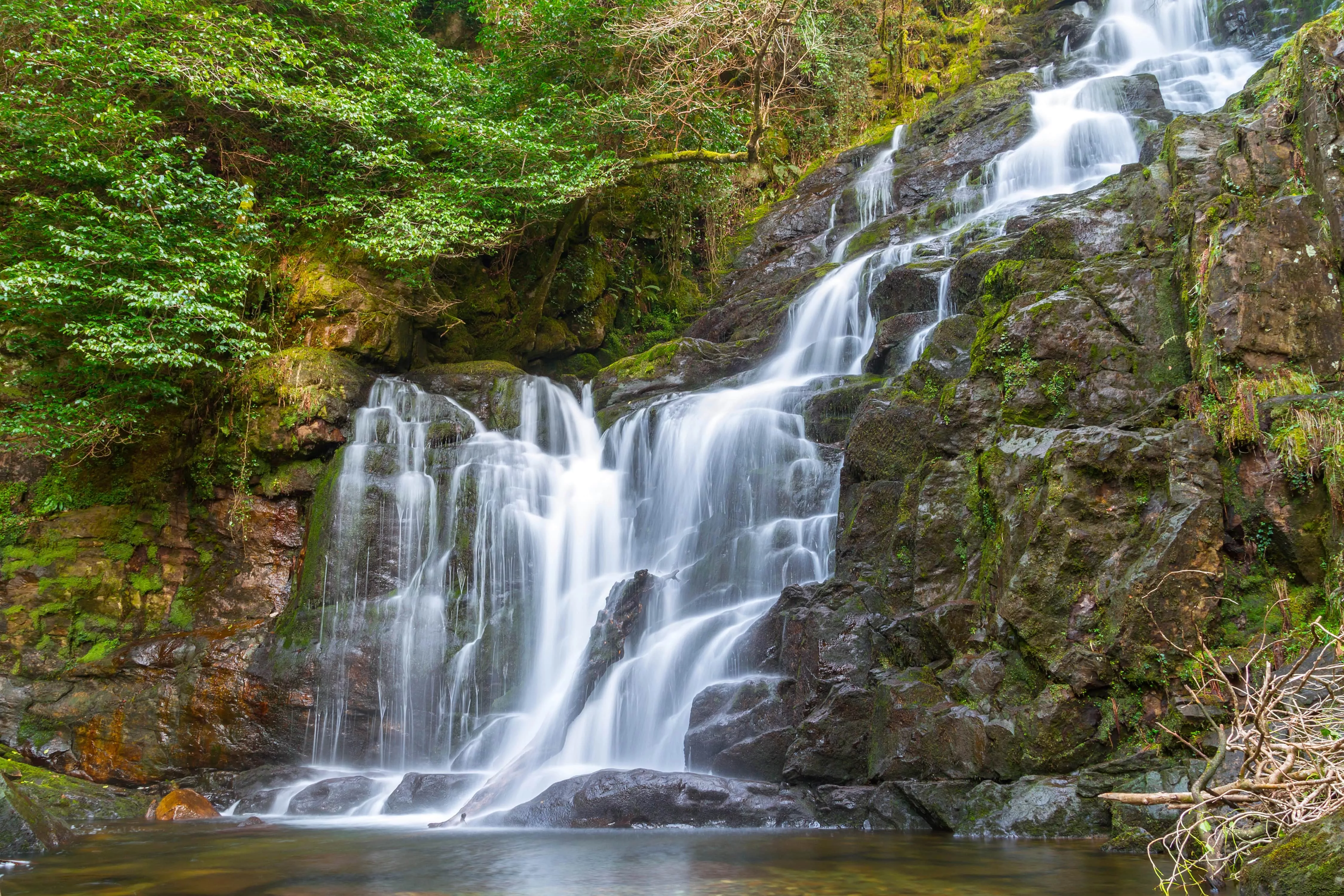 Sierlijke Torc waterval stroomt over met mos begroeide rotsen, omgeven door dicht groen bos in Killarney National Park.