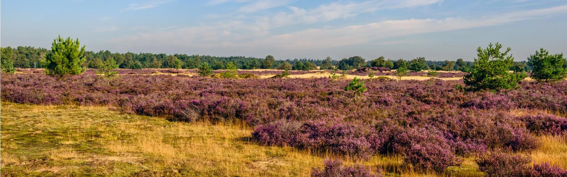 Vakantiehuizen Overloon