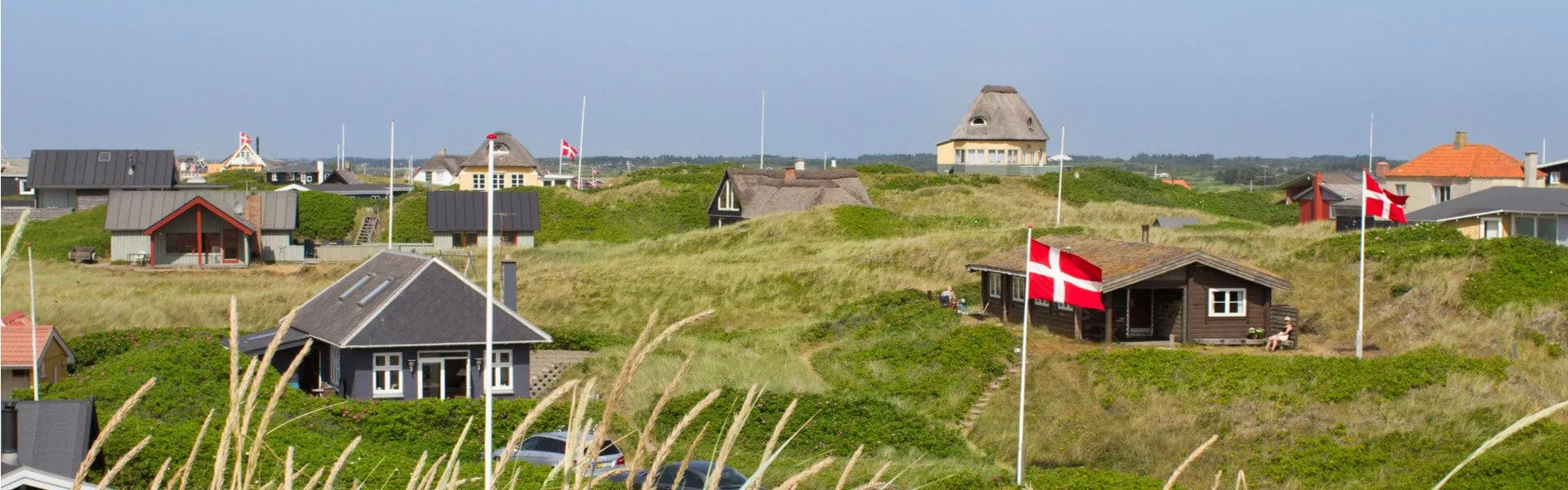 Vakantiehuizen Dyreborg