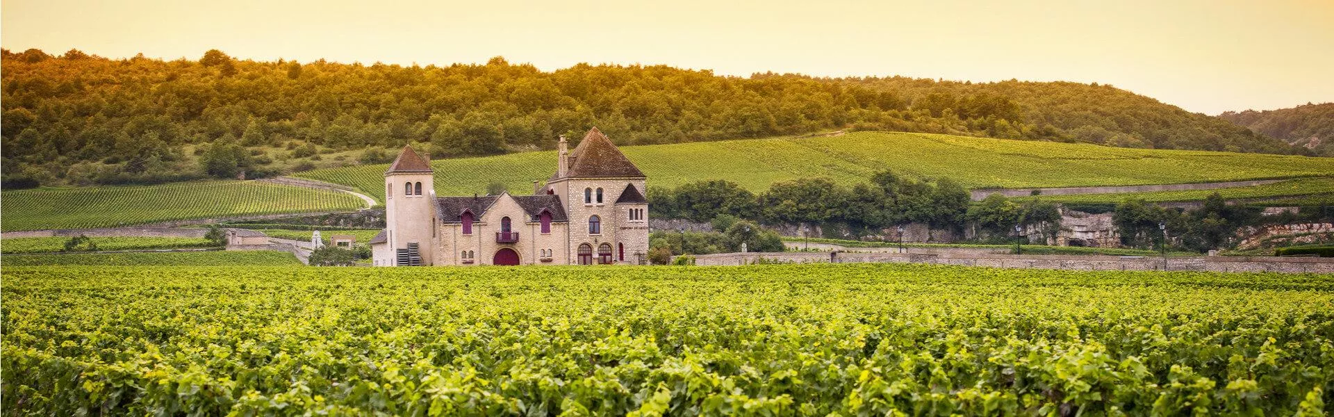 Vakantiehuizen Bourgondië-Franche-Comté